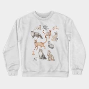 Pencil drawn cat Crewneck Sweatshirt